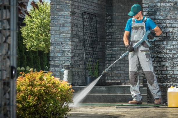Best Solar Panel Cleaning  in Cottonde, AL