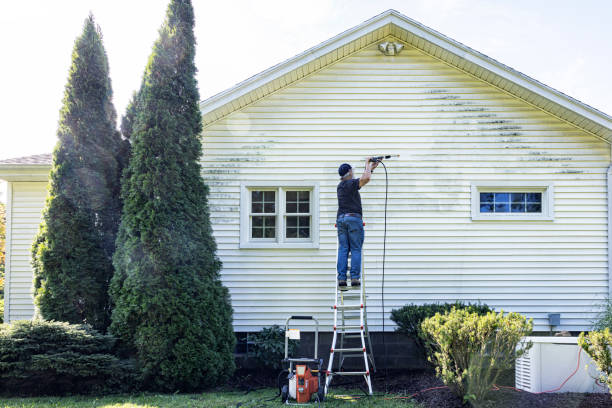 Best Restaurant Pressure Washing  in Cottonde, AL